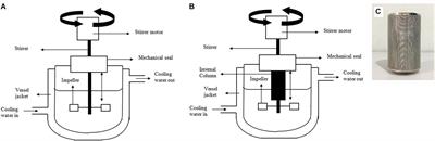 Growth Enhancement of Probiotic Pediococcus acidilactici by Extractive Fermentation of Lactic Acid Exploiting Anion-Exchange Resin